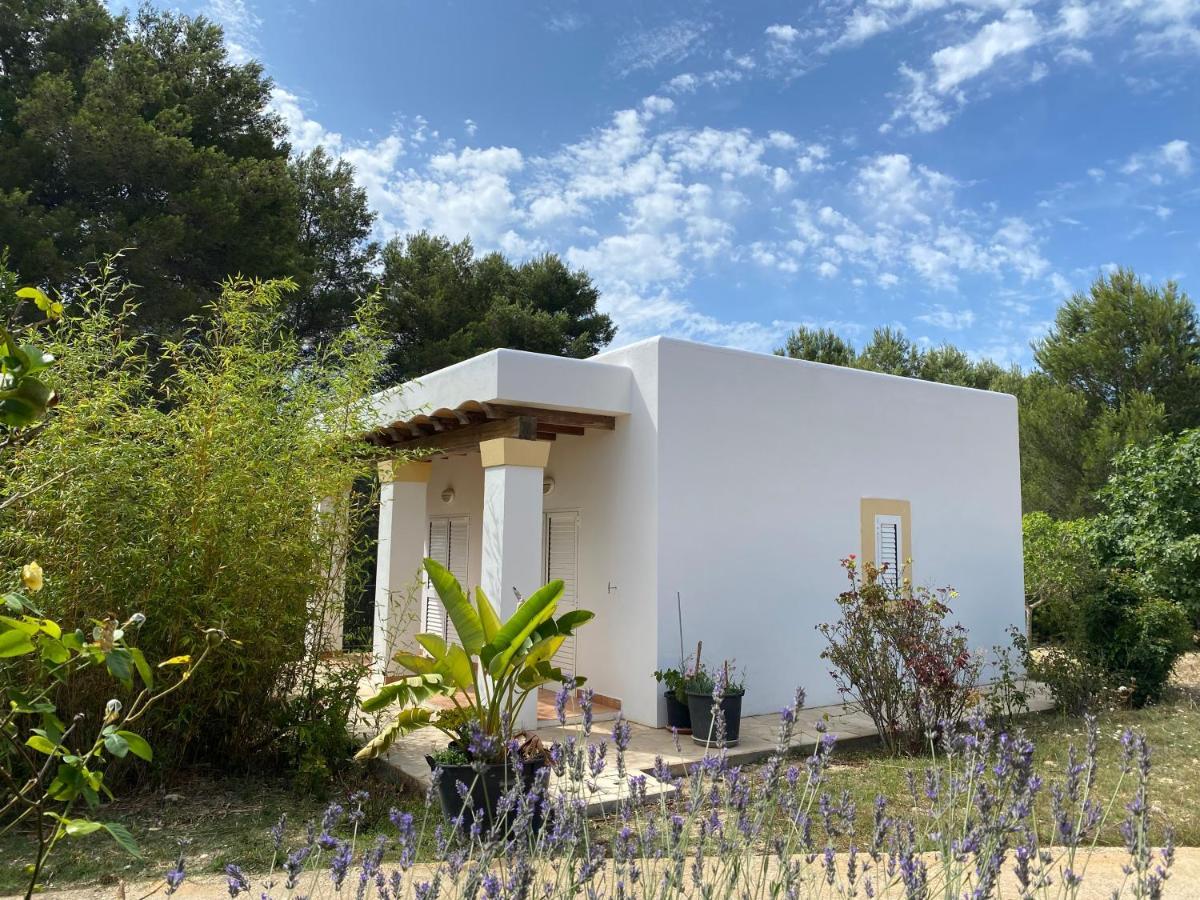 Villa Can Toni Miqueli Santa Gertrudis  Eksteriør bilde